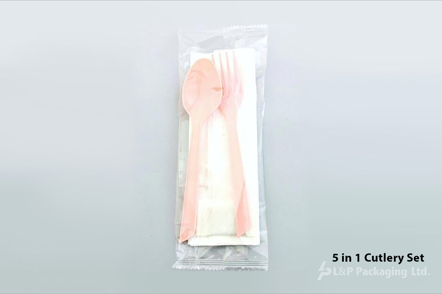 5 in 1 Cutlery Set