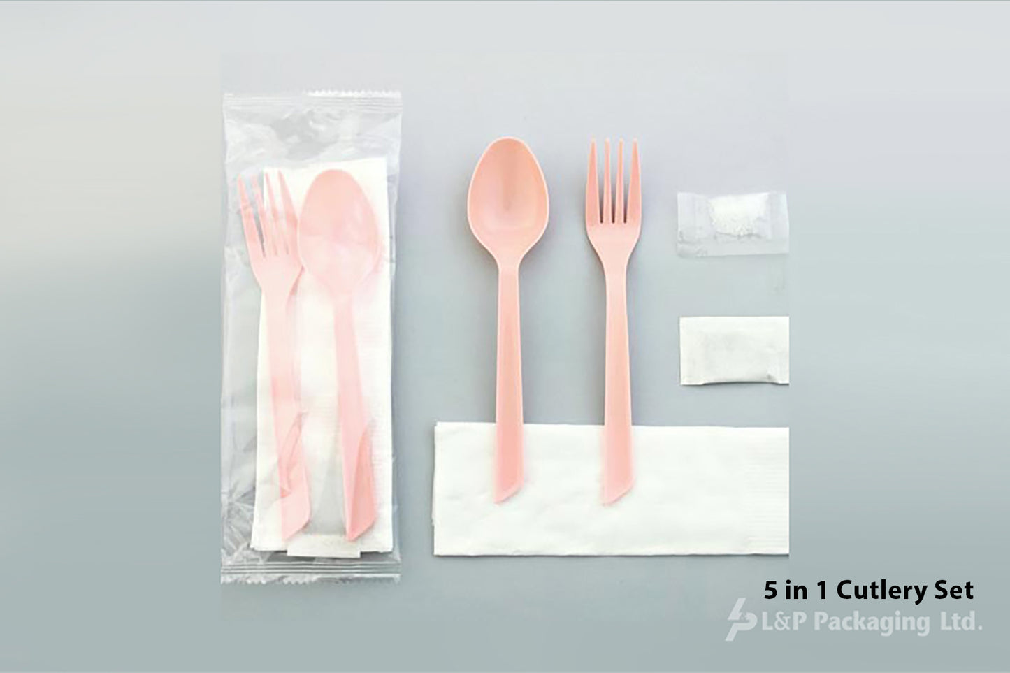 5 in 1 Cutlery Set