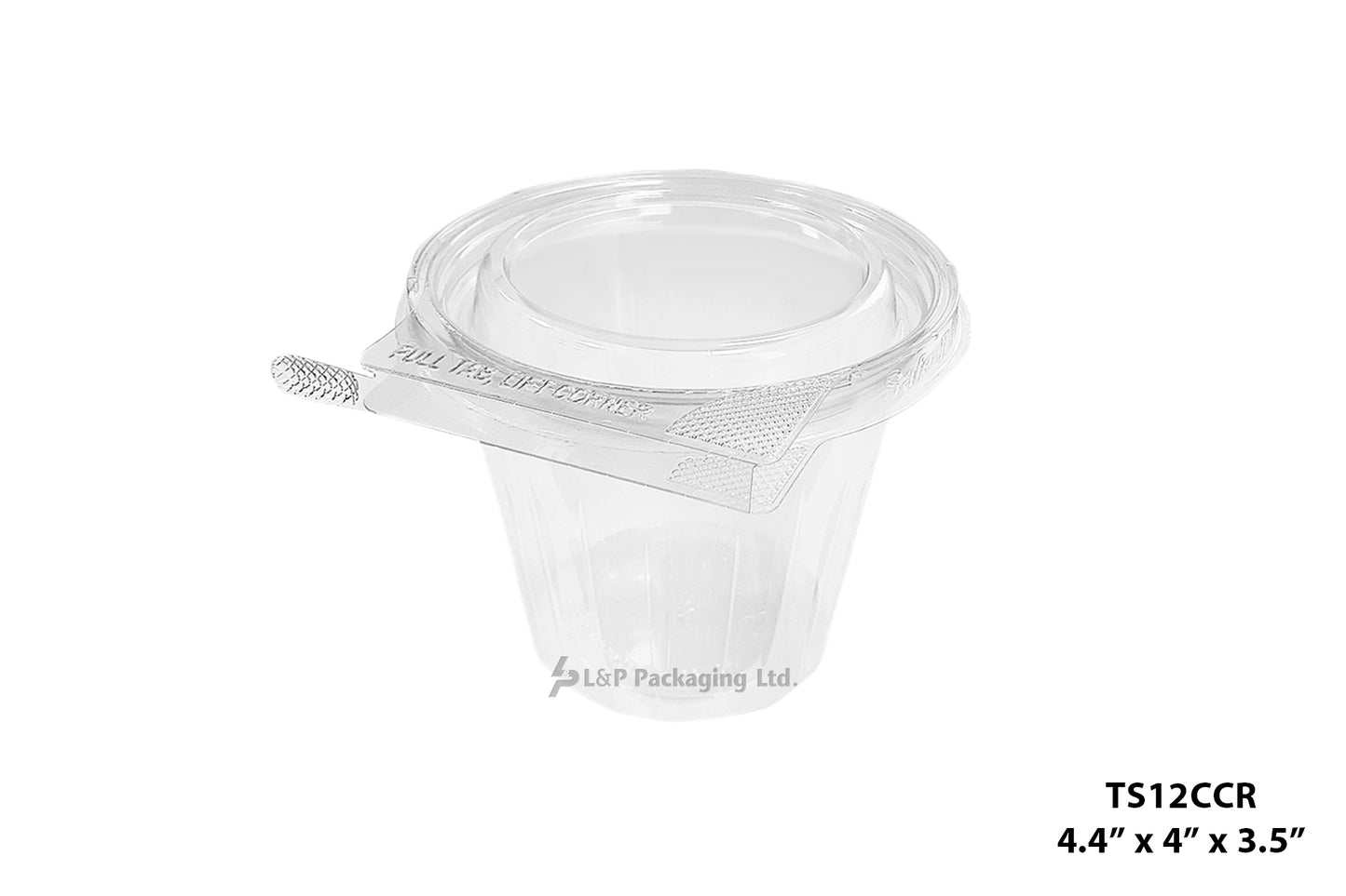 Hinged Containers with Secured Tab Lock
