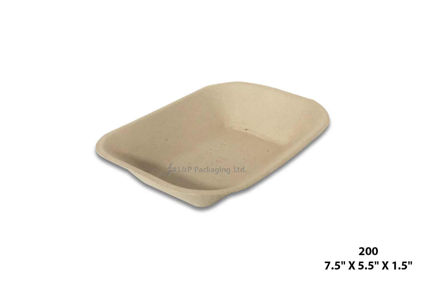 Recycled Paper Trays