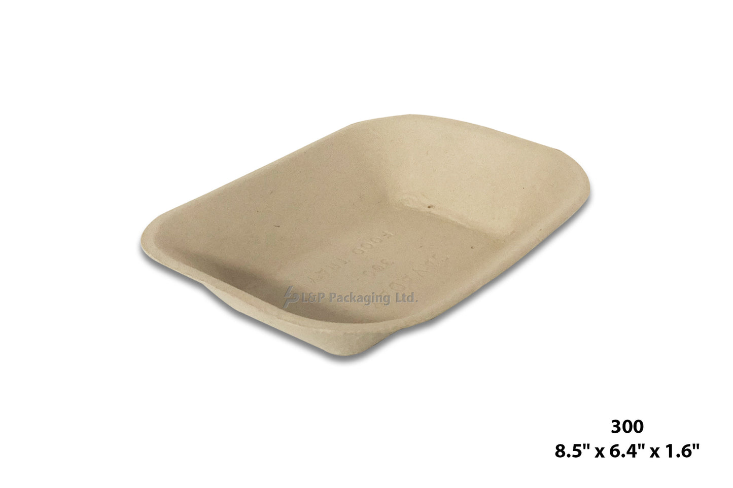 Recycled Paper Trays