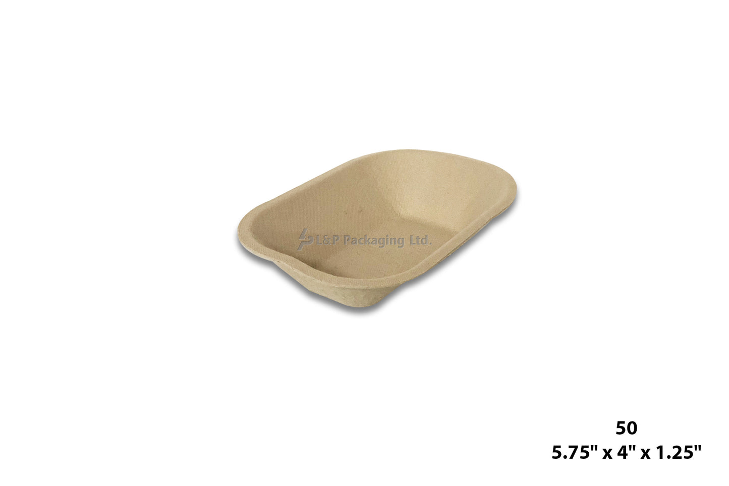 Recycled Paper Trays