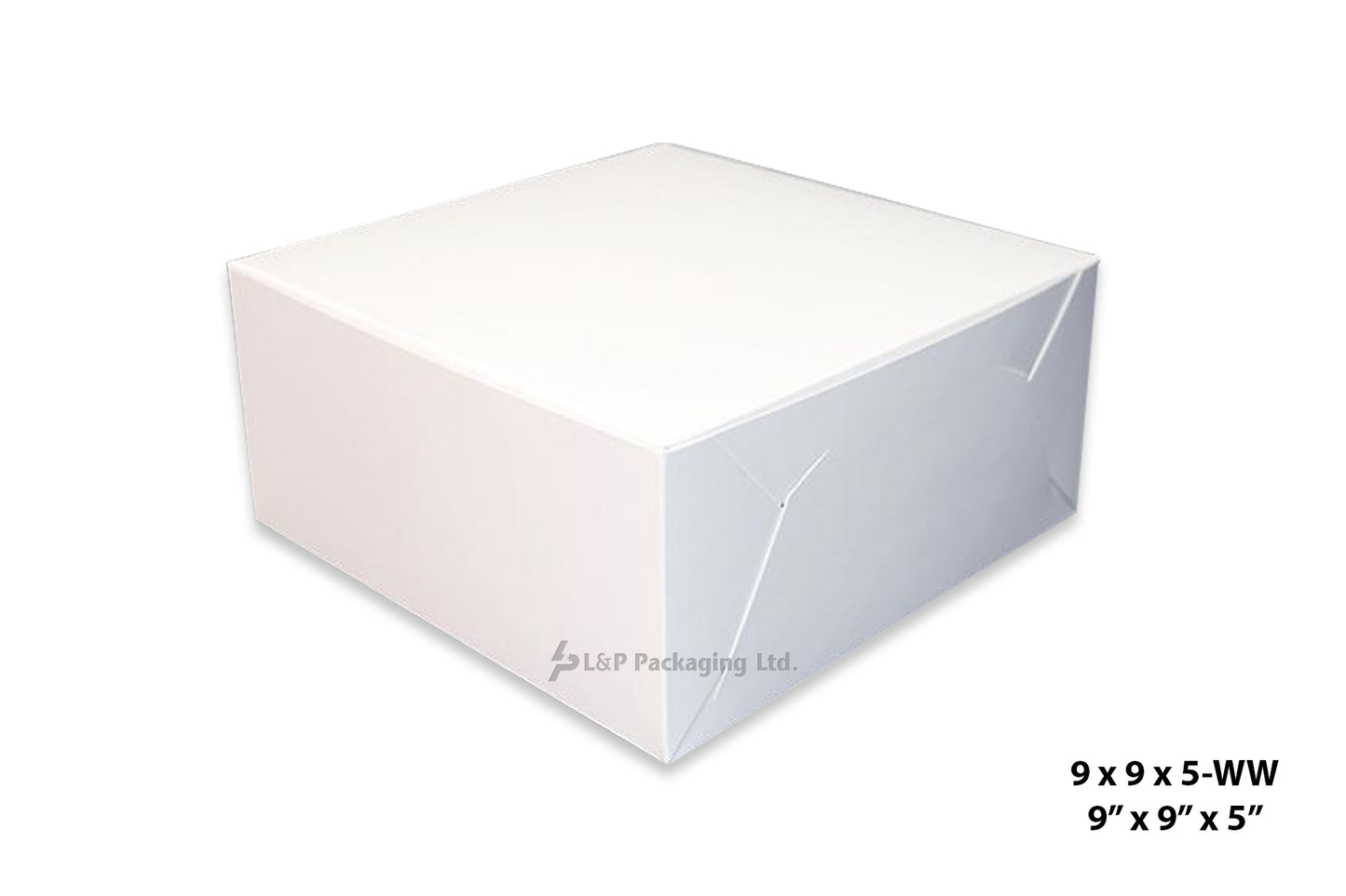 Cake Boxes- Double Sided Coating