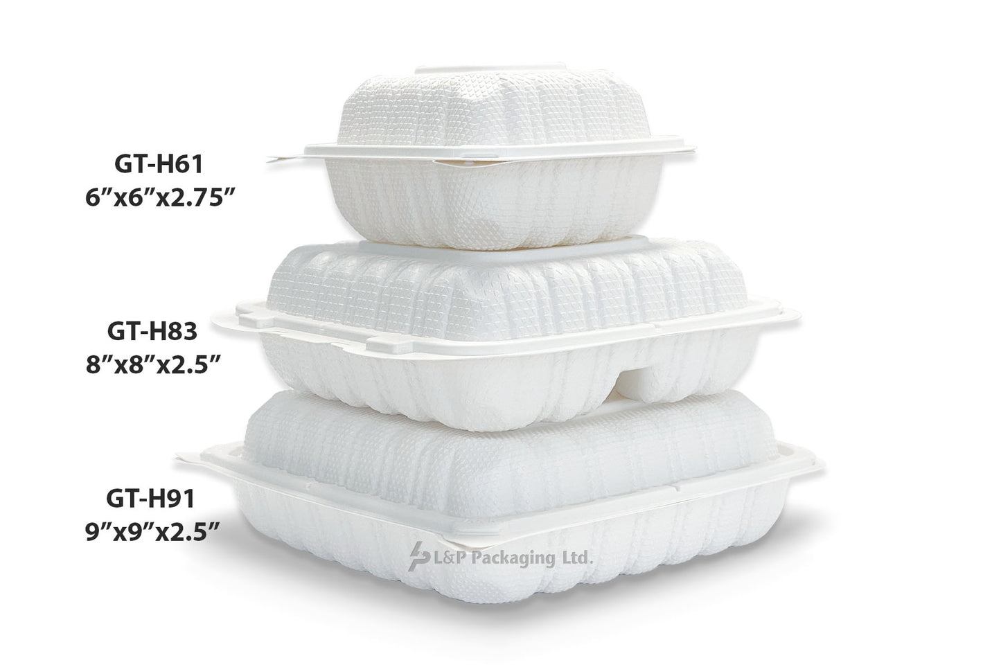 Hinged Plastic Containers-GT