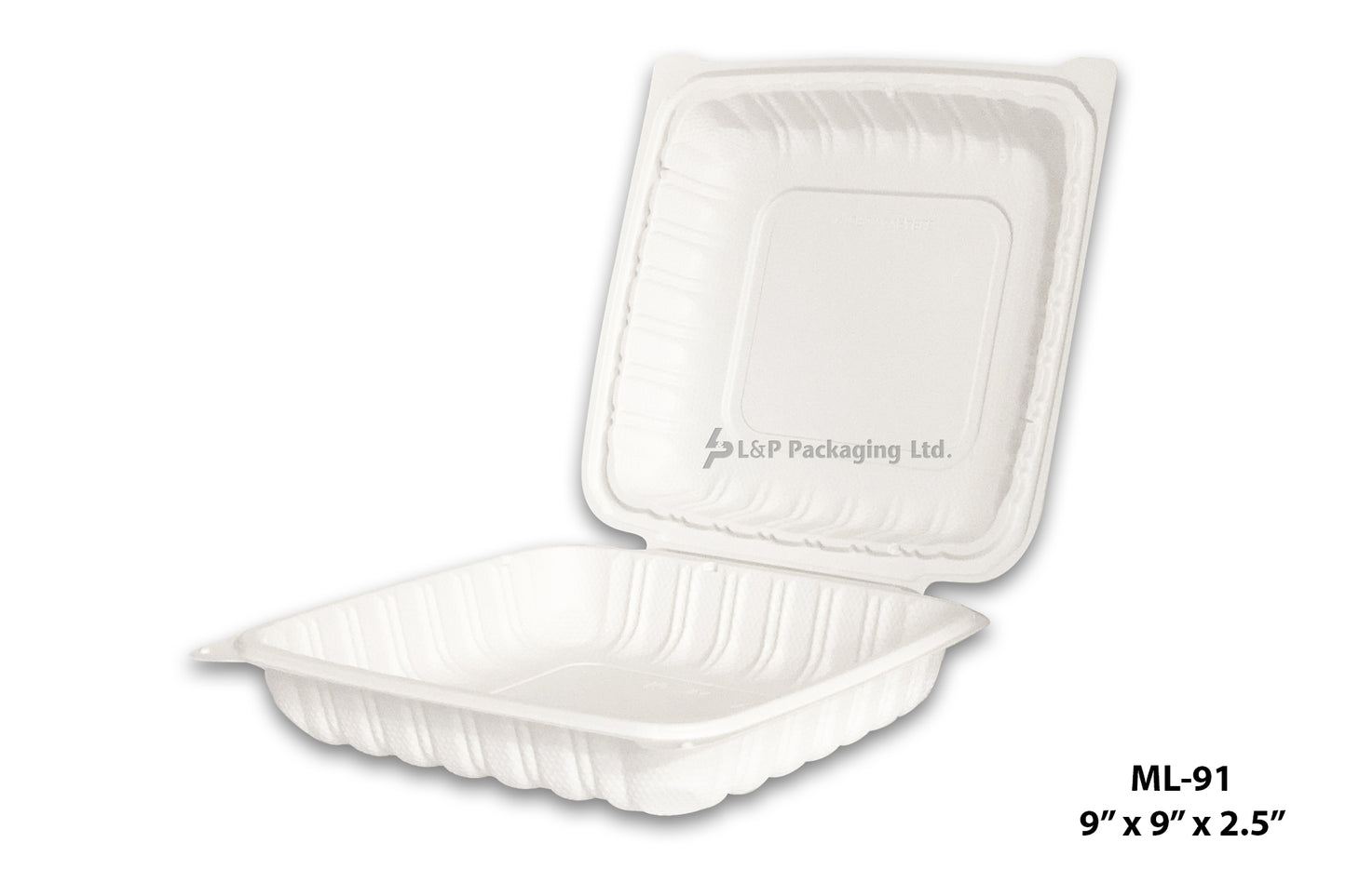Hinged Plastic Containers