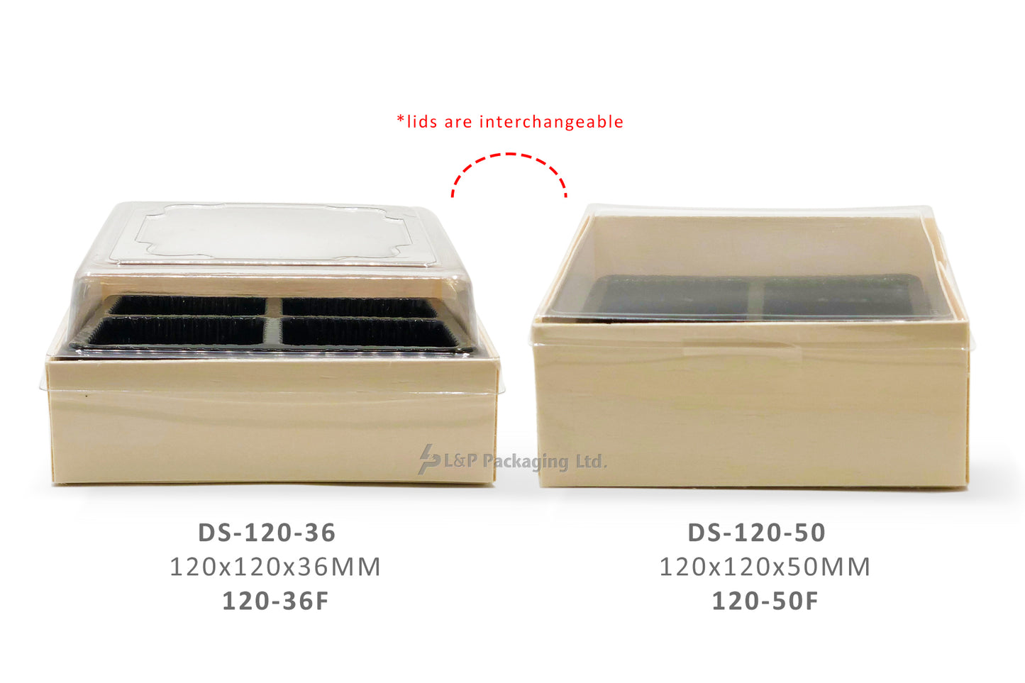 SELF-ATTACHED SQUARED CONTAINERS