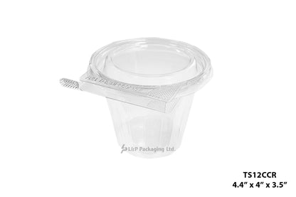 Hinged Containers with Secured Tab Lock