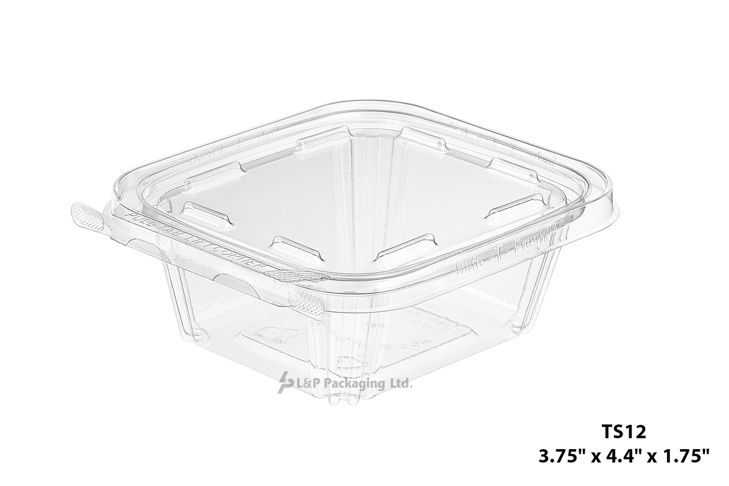 Hinged Containers with Secured Tab Lock