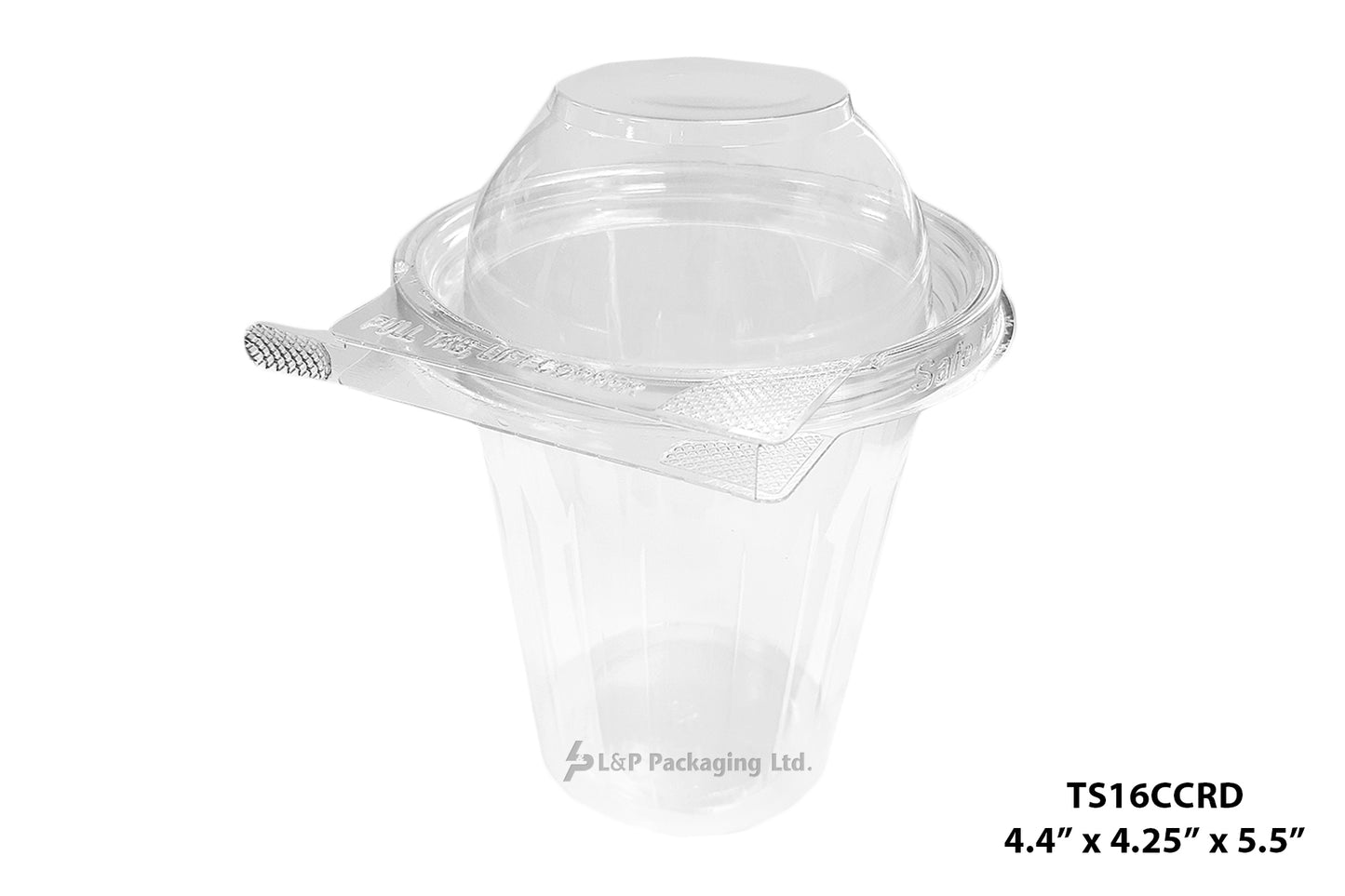 Hinged Containers with Secured Tab Lock