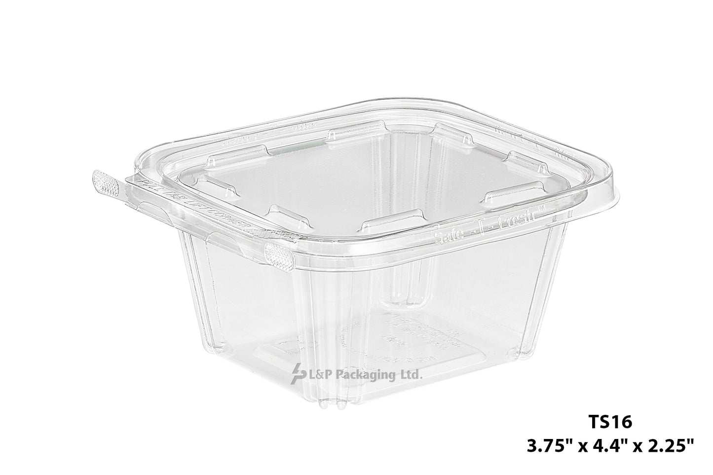 Hinged Containers with Secured Tab Lock