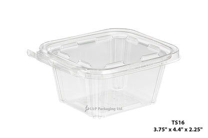 Hinged Containers with Secured Tab Lock