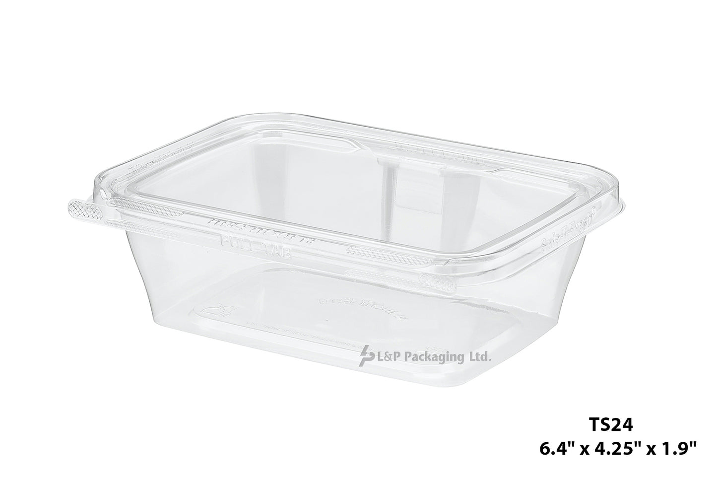 Hinged Containers with Secured Tab Lock