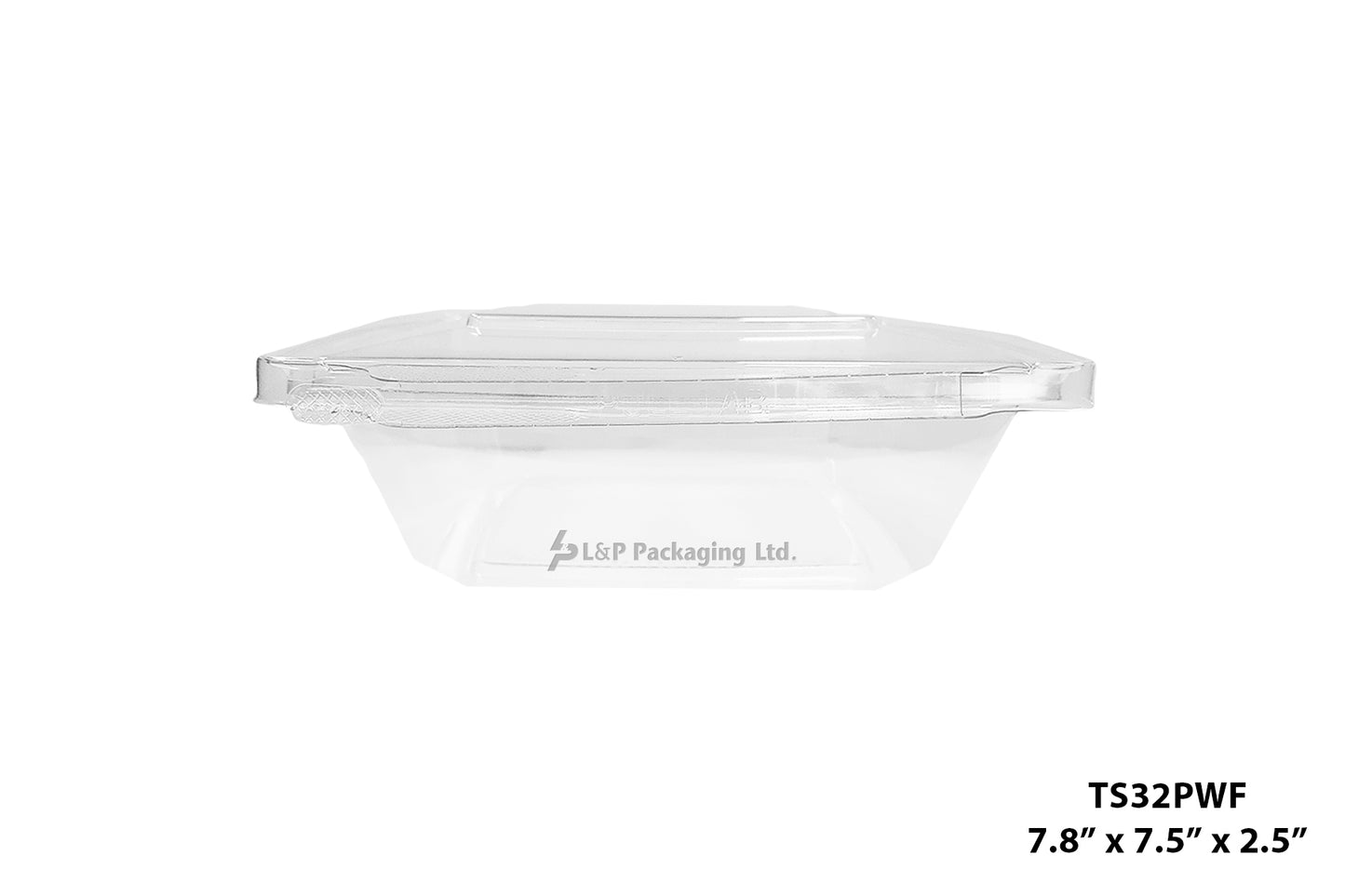 Hinged Containers with Secured Tab Lock