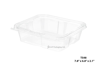 Hinged Containers with Secured Tab Lock