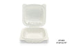Hinged Plastic Containers-GT