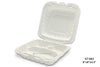 Hinged Plastic Containers-GT